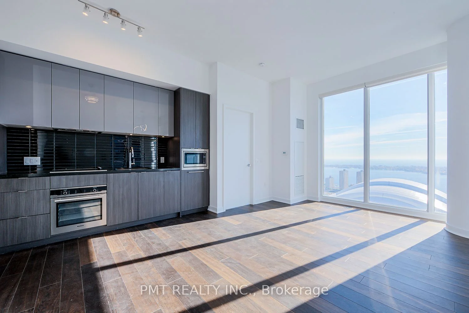 115 Blue Jays Way 4902, Toronto C01, ON M5V 0N4