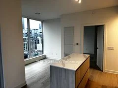 35 Mercer Street 1616, Toronto C01, On M5v 1h2