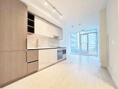 55 Mercer Street 1008, Toronto C01, On M5v 3w2