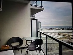 51 East Liberty Street 1301, Toronto C01, On M6k 3p8