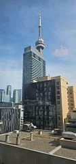 55 Mercer Street 1611, Toronto C01, On M5v 3w2