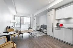115 Blue Jays Way 2903, Toronto C01, ON M5V 0N4