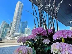 28 Freeland Street 4107, Toronto C01, ON M5E 0E3