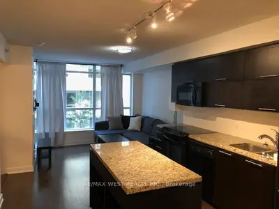 21 Nelson Street 216, Toronto C01, On M5v 1t8
