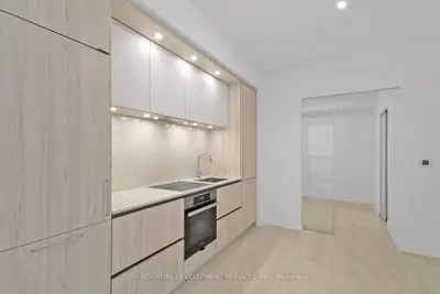 15 Mercer Street 1107, Toronto C01, On M5v 1h2