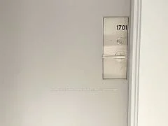 8 Widmer Street 1701, Toronto C01, ON M5V 0W6