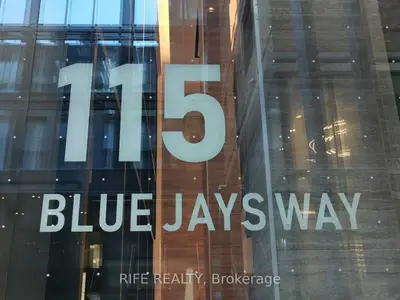 115 Blue Jays Way 319, Toronto C01, On M5v 0n4