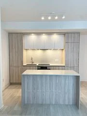 15 Mercer Street 408, Toronto C01, On M5v 1h2