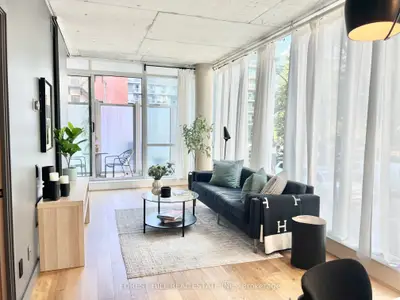 38 Niagara Street 211, Toronto C01, On M5v 3x1
