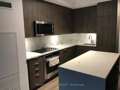 38 Iannuzzi Street 507, Toronto C01, On M5v 0s2