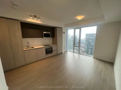 8 Widmer Street 4015, Toronto C01, On M5v 0w6