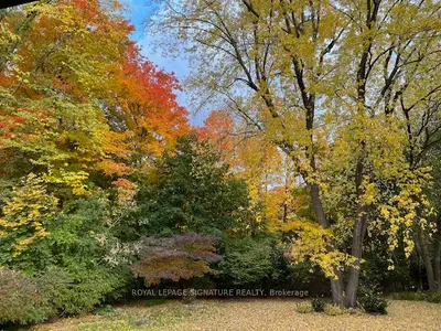 Detached in Toronto