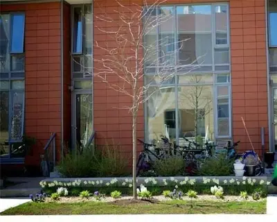 Condo Townhouse in Toronto