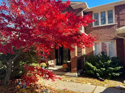 Detached in Whitby