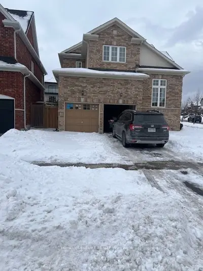 805 Black Cherry Drive Bsmt, Oshawa, On L1k 0p3