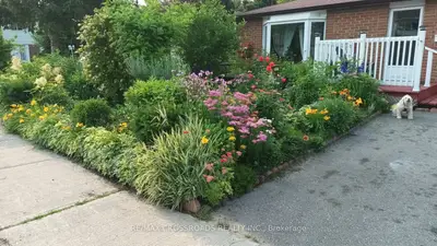 Upper Level in Toronto