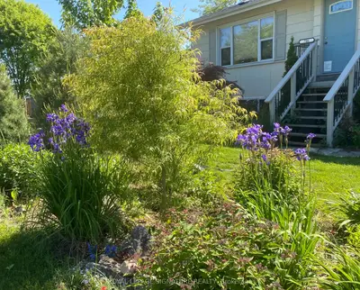 Detached in Pickering