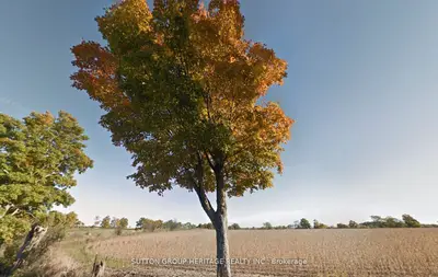 Vacant Land in Whitby