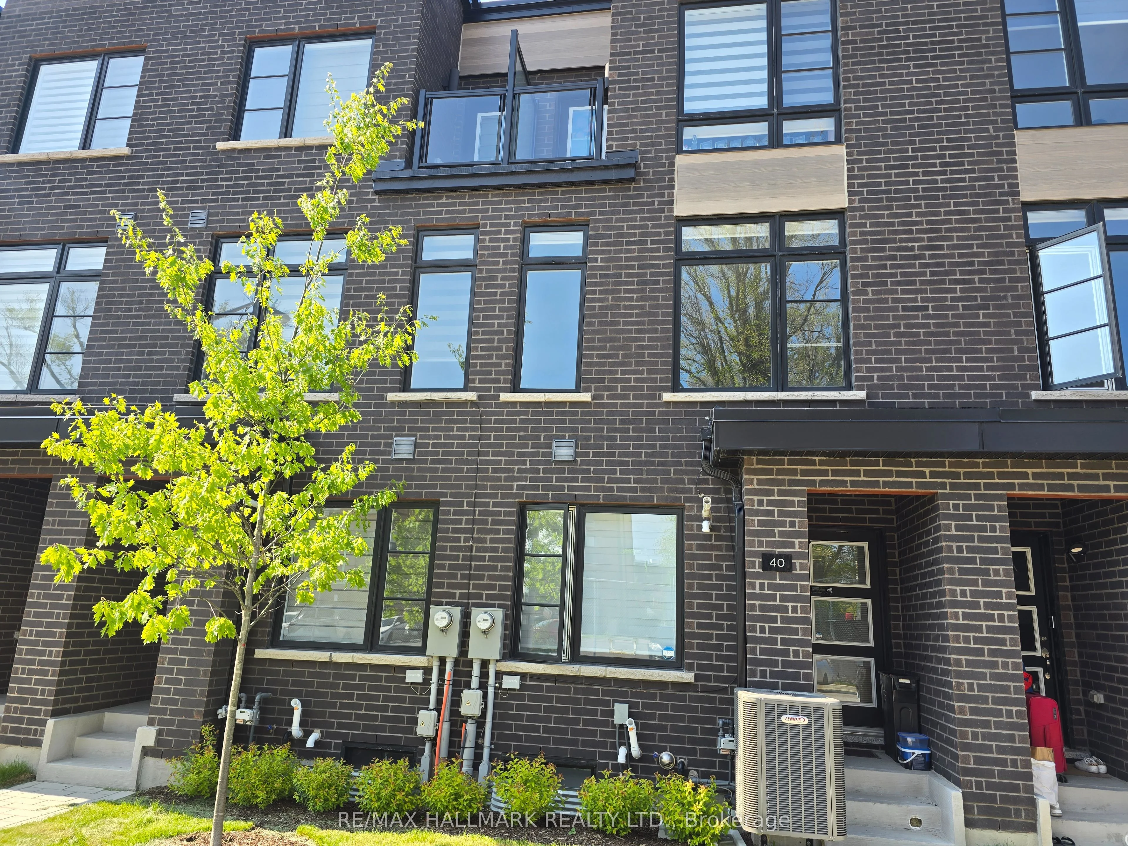 40 Akil Thomas Gardens 1rst Floor, Toronto E09, ON M1P 3C1