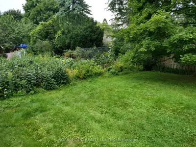 377 East Avenue E Basement, Toronto E10, On M1c 2w5
