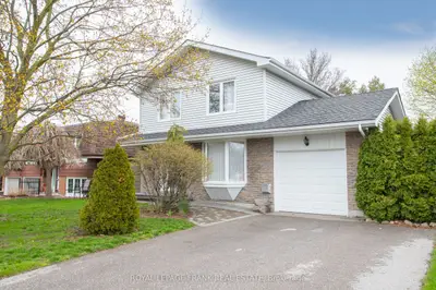11 Cardiff Court, Whitby, On L1n 5n8
