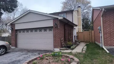 46 Blacktoft Drive Bsmt, Toronto E11, On M1b 2m6