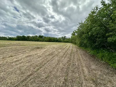 430 Scugog 6 Line, Scugog, On L9l 1b2