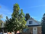7 Valerie Road 2, Toronto, On M1p 1g1