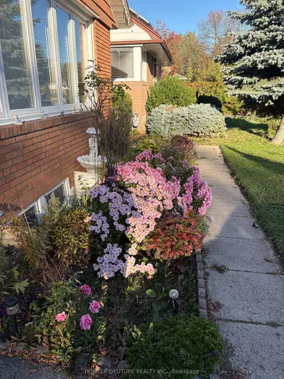 14 Shenley Road Bsmt, Toronto, On M1k 3v6
