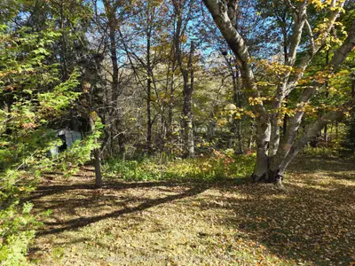 107 Cliffcrest Drive, Toronto, On M1m 2k1
