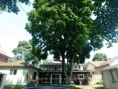 218 Cochrane Street, Whitby, On L1n 5j1
