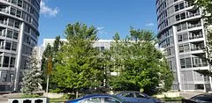 181 Village Green Square E 2616, Toronto E07, ON M1S 0K6