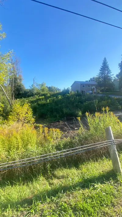 Vacant Land in Scugog