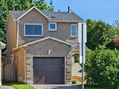 73 Mandrake (basement) Street, Ajax, On L1s 5h2