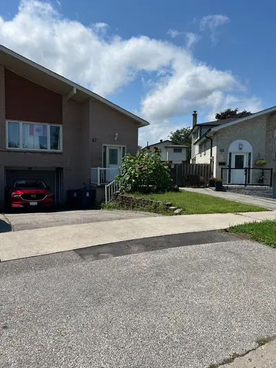 47 Shademaster Court E Bsmnt, Toronto E11, On M1b 1y5