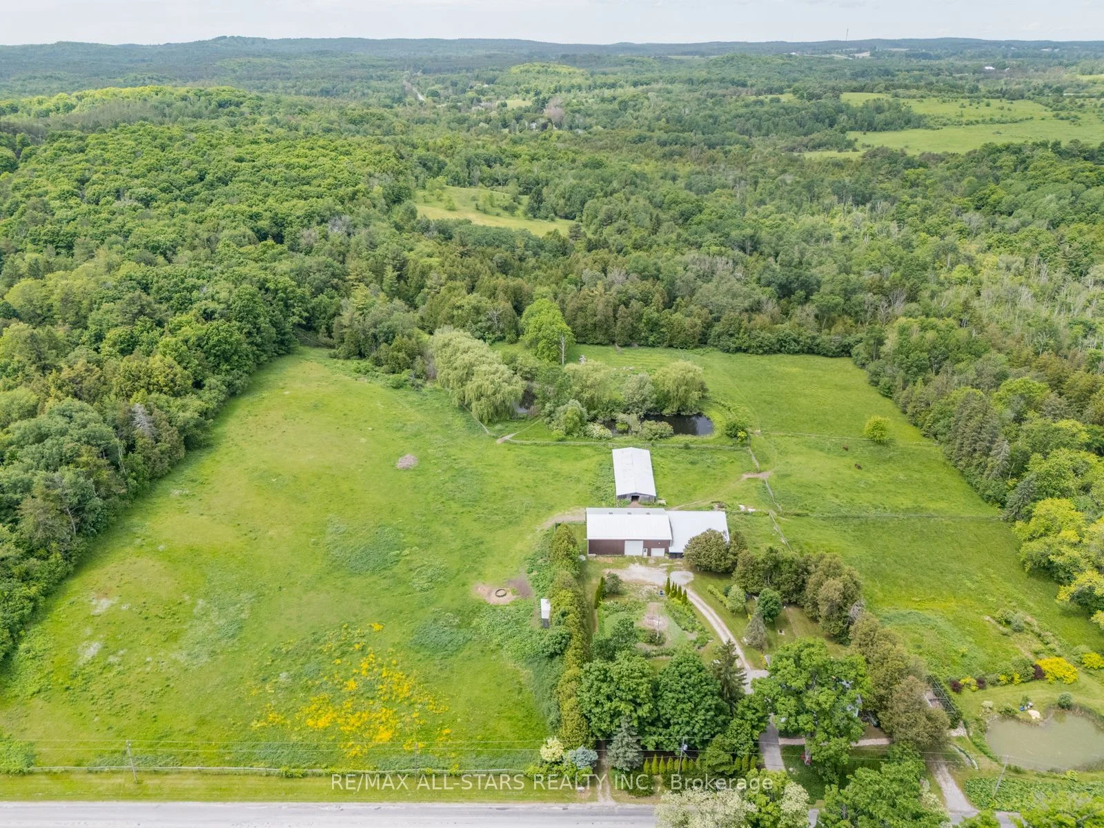 Detached in Scugog