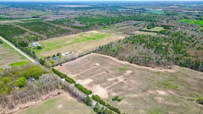 6403 Concession Rd 3, Adjala-tosorontio, On, L0m 1j0