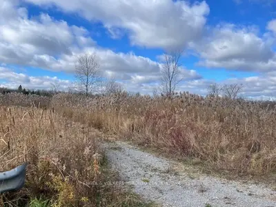21514 Town Line Miles Road, East Gwillimbury, On L0g 1m0