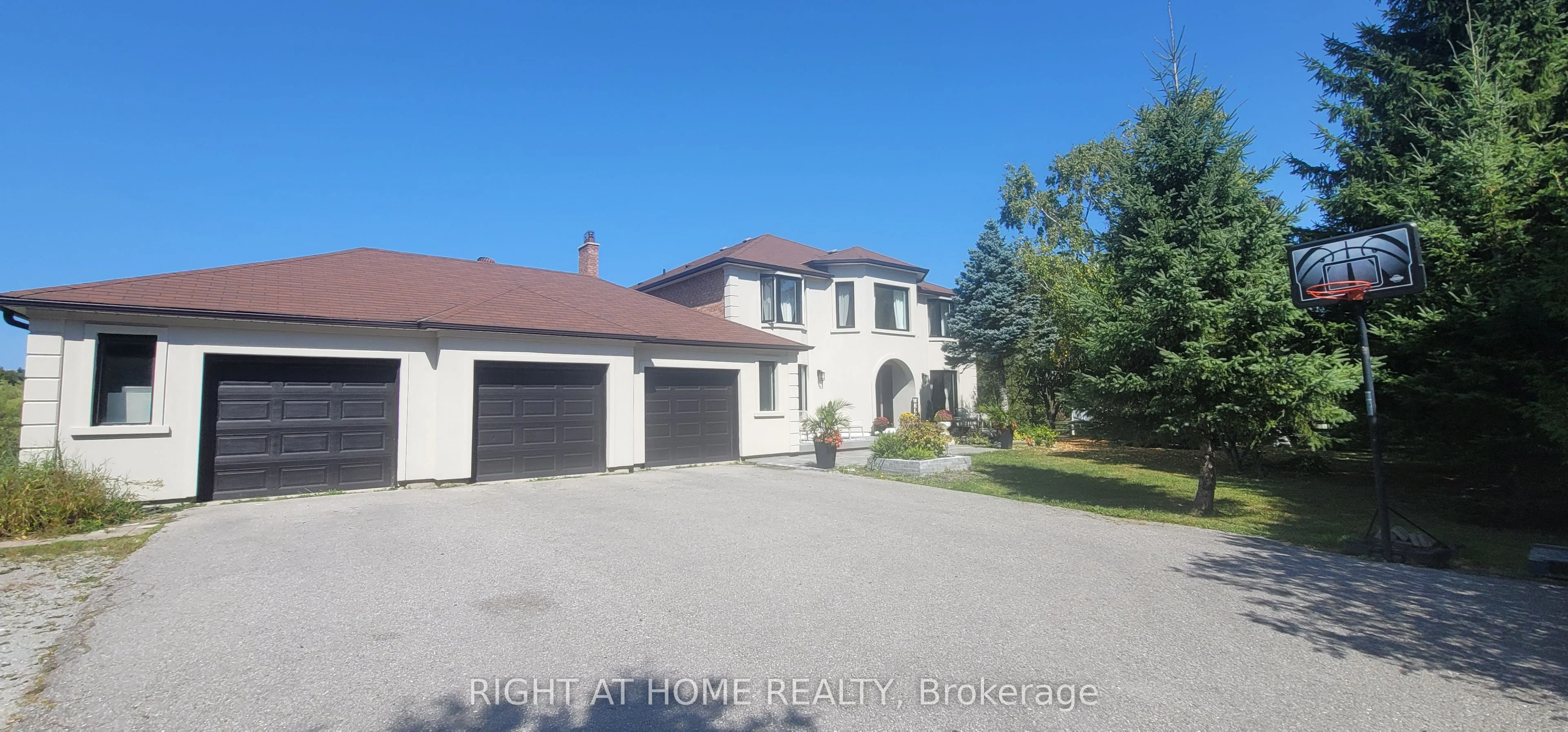 Detached in King