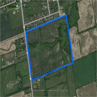 2687 County Rd 50, Adjala-tosorontio, On, L0g 1l0
