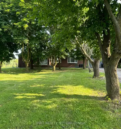 6839 Sixth Line Main Fl, New Tecumseth, On L0w 1w0