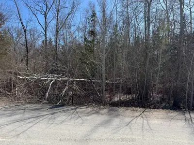 Vacant Land in Innisfil