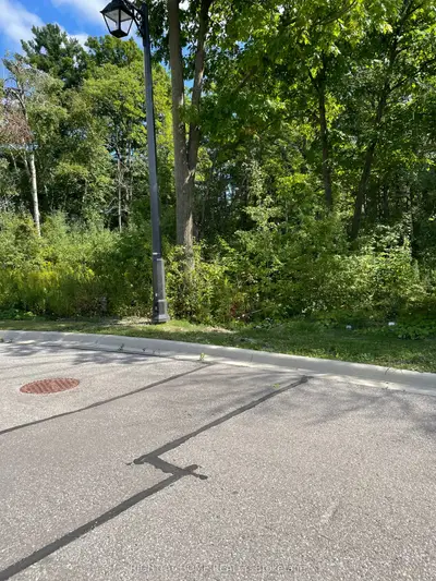 Vacant Land in Richmond Hill