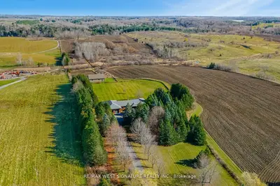 Detached in King