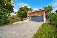 97 Carrington Drive (Lower-Level), Richmond Hill, ON L4C 7X8