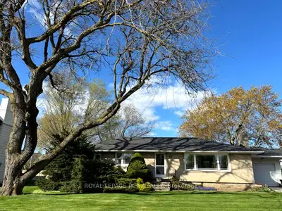 Detached in King