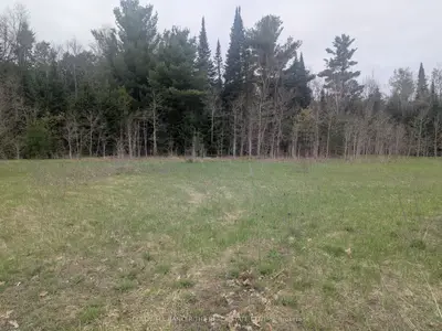 8 Tioga Boulevard, Adjala-tosorontio, On L0m 1j0