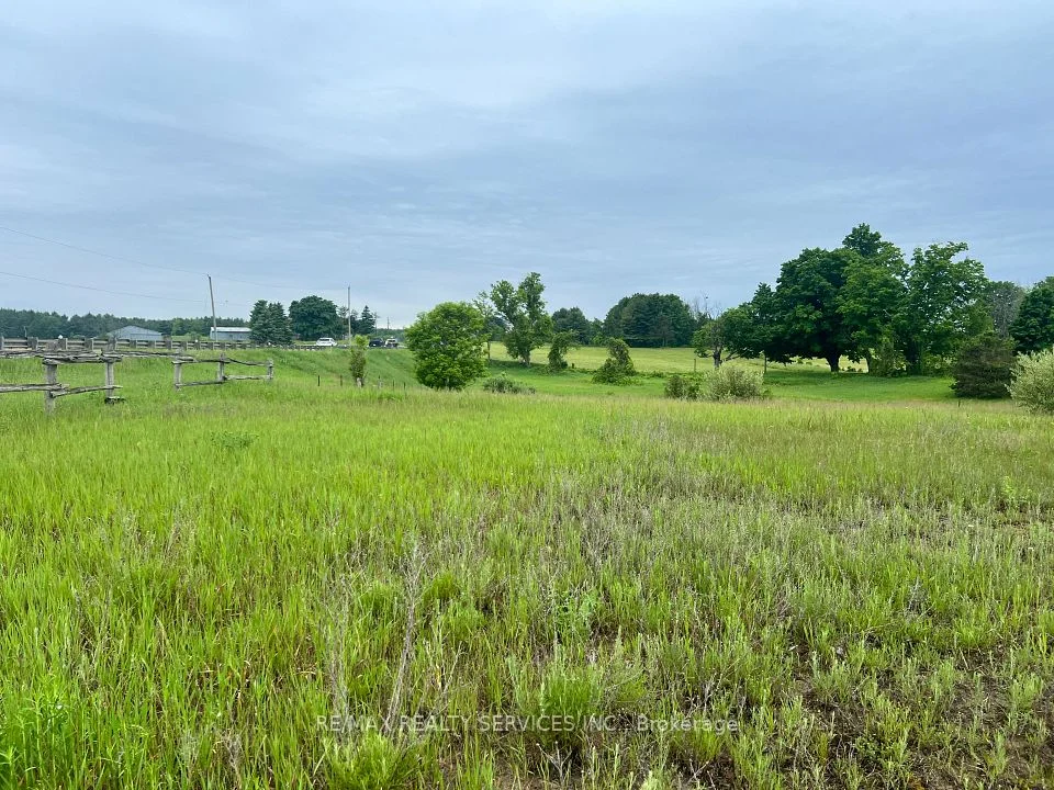 10054 Highway 9, Adjala-Tosorontio, ON L7E 0E8