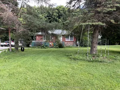 Detached in King