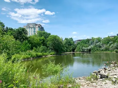 Condo Apartment in Markham